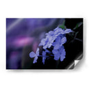 Azul de un rato - Karina Álvarez | Cuadro decorativo de Canvas Lab