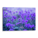 Morado - Karina Álvarez | Cuadro decorativo de Canvas Lab