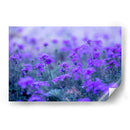 Morado - Karina Álvarez | Cuadro decorativo de Canvas Lab