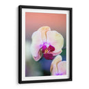Orquídea - Karina Álvarez | Cuadro decorativo de Canvas Lab