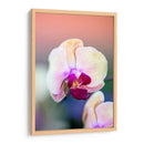Orquídea - Karina Álvarez | Cuadro decorativo de Canvas Lab