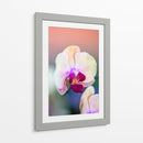Orquídea - Karina Álvarez | Cuadro decorativo de Canvas Lab