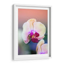 Orquídea - Karina Álvarez | Cuadro decorativo de Canvas Lab