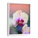 Orquídea - Karina Álvarez | Cuadro decorativo de Canvas Lab