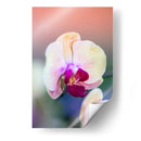 Orquídea - Karina Álvarez | Cuadro decorativo de Canvas Lab