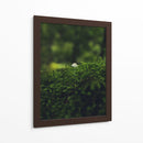 HONGO EN EL BOSQUE  - ALEJANDRE PHOTOGRAPHY | Cuadro decorativo de Canvas Lab