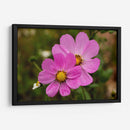 FLORES SILVESTRES  - ALEJANDRE PHOTOGRAPHY | Cuadro decorativo de Canvas Lab