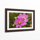 FLORES SILVESTRES  - ALEJANDRE PHOTOGRAPHY | Cuadro decorativo de Canvas Lab