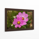 FLORES SILVESTRES  - ALEJANDRE PHOTOGRAPHY | Cuadro decorativo de Canvas Lab