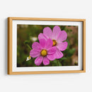 FLORES SILVESTRES  - ALEJANDRE PHOTOGRAPHY | Cuadro decorativo de Canvas Lab