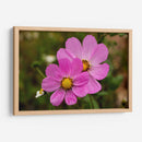 FLORES SILVESTRES  - ALEJANDRE PHOTOGRAPHY | Cuadro decorativo de Canvas Lab