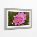 FLORES SILVESTRES  - ALEJANDRE PHOTOGRAPHY | Cuadro decorativo de Canvas Lab
