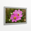 FLORES SILVESTRES  - ALEJANDRE PHOTOGRAPHY | Cuadro decorativo de Canvas Lab