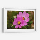 FLORES SILVESTRES  - ALEJANDRE PHOTOGRAPHY | Cuadro decorativo de Canvas Lab