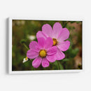 FLORES SILVESTRES  - ALEJANDRE PHOTOGRAPHY | Cuadro decorativo de Canvas Lab