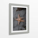 ESTRELLA DE MAR  - ALEJANDRE PHOTOGRAPHY | Cuadro decorativo de Canvas Lab