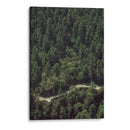 CARRETERA EN EL BOSQUE  - ALEJANDRE PHOTOGRAPHY | Cuadro decorativo de Canvas Lab