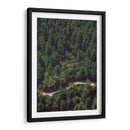 CARRETERA EN EL BOSQUE  - ALEJANDRE PHOTOGRAPHY | Cuadro decorativo de Canvas Lab