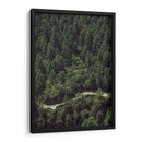 CARRETERA EN EL BOSQUE  - ALEJANDRE PHOTOGRAPHY | Cuadro decorativo de Canvas Lab