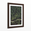 CARRETERA EN EL BOSQUE  - ALEJANDRE PHOTOGRAPHY | Cuadro decorativo de Canvas Lab