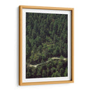 CARRETERA EN EL BOSQUE  - ALEJANDRE PHOTOGRAPHY | Cuadro decorativo de Canvas Lab