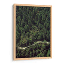 CARRETERA EN EL BOSQUE  - ALEJANDRE PHOTOGRAPHY | Cuadro decorativo de Canvas Lab