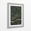 CARRETERA EN EL BOSQUE  - ALEJANDRE PHOTOGRAPHY | Cuadro decorativo de Canvas Lab