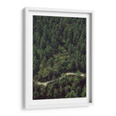 CARRETERA EN EL BOSQUE  - ALEJANDRE PHOTOGRAPHY | Cuadro decorativo de Canvas Lab