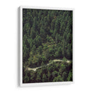 CARRETERA EN EL BOSQUE  - ALEJANDRE PHOTOGRAPHY | Cuadro decorativo de Canvas Lab