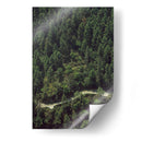 CARRETERA EN EL BOSQUE  - ALEJANDRE PHOTOGRAPHY | Cuadro decorativo de Canvas Lab