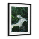 RIO EN EL BOSQUE  - ALEJANDRE PHOTOGRAPHY | Cuadro decorativo de Canvas Lab