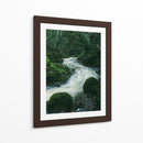 RIO EN EL BOSQUE  - ALEJANDRE PHOTOGRAPHY | Cuadro decorativo de Canvas Lab