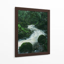 RIO EN EL BOSQUE  - ALEJANDRE PHOTOGRAPHY | Cuadro decorativo de Canvas Lab