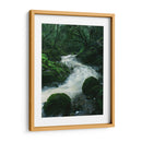RIO EN EL BOSQUE  - ALEJANDRE PHOTOGRAPHY | Cuadro decorativo de Canvas Lab