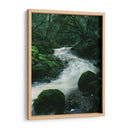 RIO EN EL BOSQUE  - ALEJANDRE PHOTOGRAPHY | Cuadro decorativo de Canvas Lab