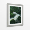 RIO EN EL BOSQUE  - ALEJANDRE PHOTOGRAPHY | Cuadro decorativo de Canvas Lab