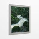 RIO EN EL BOSQUE  - ALEJANDRE PHOTOGRAPHY | Cuadro decorativo de Canvas Lab