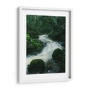 RIO EN EL BOSQUE  - ALEJANDRE PHOTOGRAPHY | Cuadro decorativo de Canvas Lab