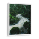 RIO EN EL BOSQUE  - ALEJANDRE PHOTOGRAPHY | Cuadro decorativo de Canvas Lab