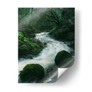 RIO EN EL BOSQUE  - ALEJANDRE PHOTOGRAPHY | Cuadro decorativo de Canvas Lab