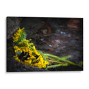 Promesas de primavera - Alan050 | Cuadro decorativo de Canvas Lab