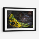 Promesas de primavera - Alan050 | Cuadro decorativo de Canvas Lab