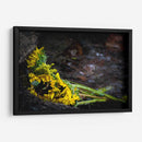 Promesas de primavera - Alan050 | Cuadro decorativo de Canvas Lab