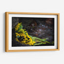 Promesas de primavera - Alan050 | Cuadro decorativo de Canvas Lab