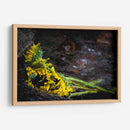 Promesas de primavera - Alan050 | Cuadro decorativo de Canvas Lab