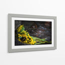 Promesas de primavera - Alan050 | Cuadro decorativo de Canvas Lab