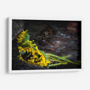 Promesas de primavera - Alan050 | Cuadro decorativo de Canvas Lab
