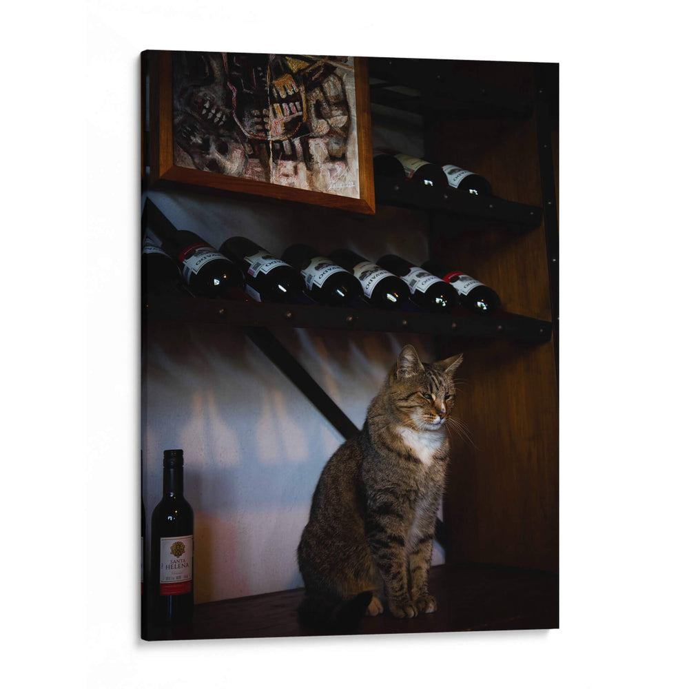 Guardian del vino - Alan050 | Cuadro decorativo de Canvas Lab