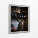 Guardian del vino - Alan050 | Cuadro decorativo de Canvas Lab