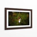 Polinizadores - Alan050 | Cuadro decorativo de Canvas Lab